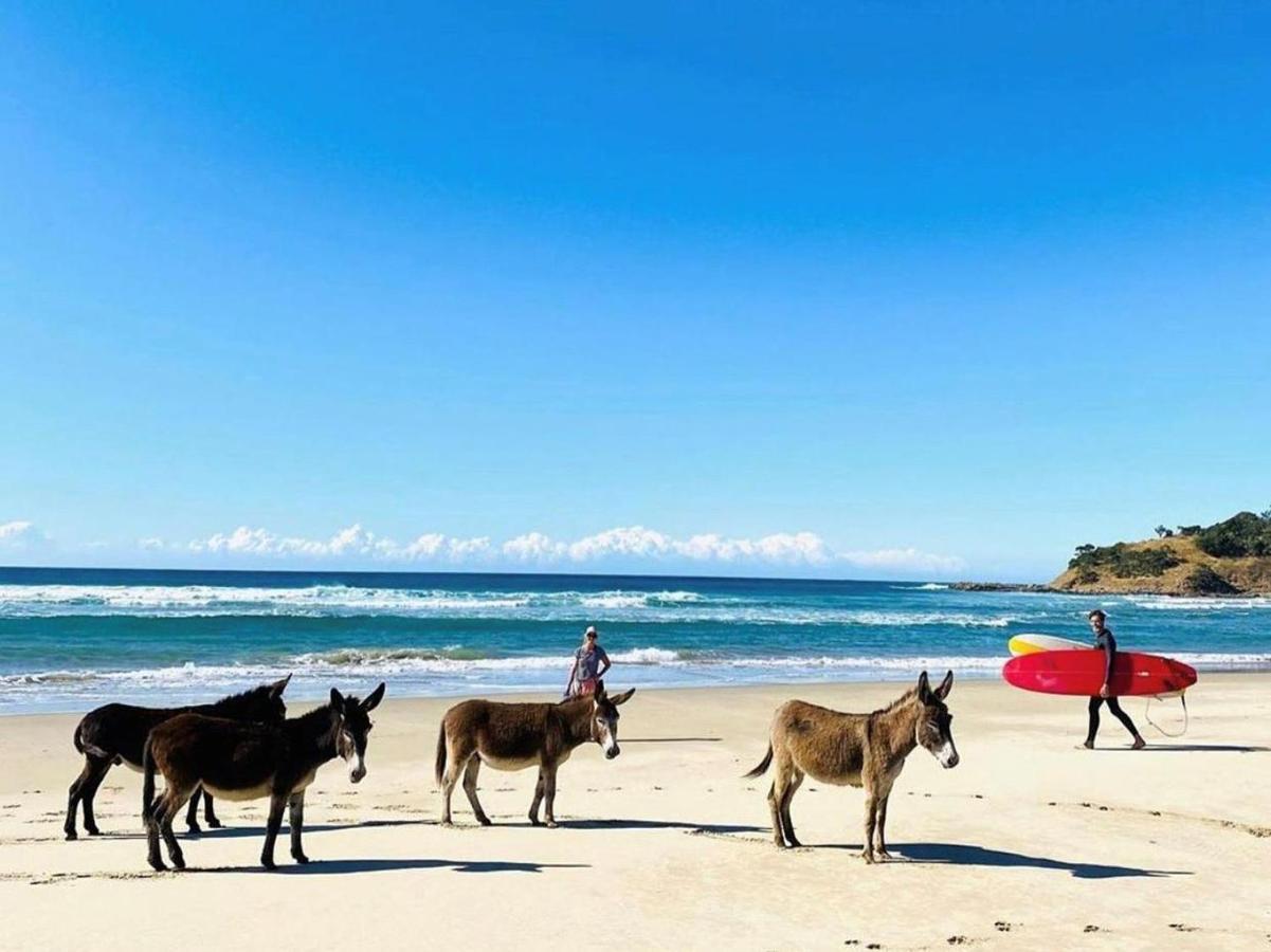 Swell Eco Lodge Lutsheni Esterno foto